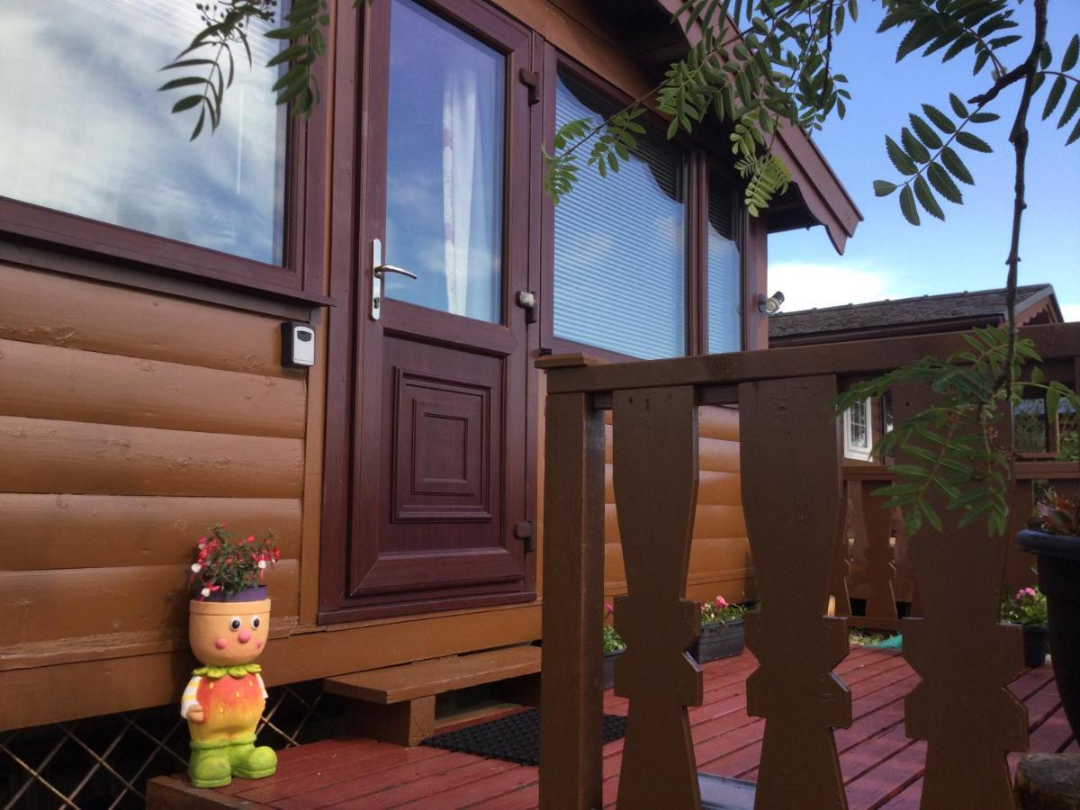 Snowdonia National Park Log Cabin With Garden Trawsfynydd Exterior foto