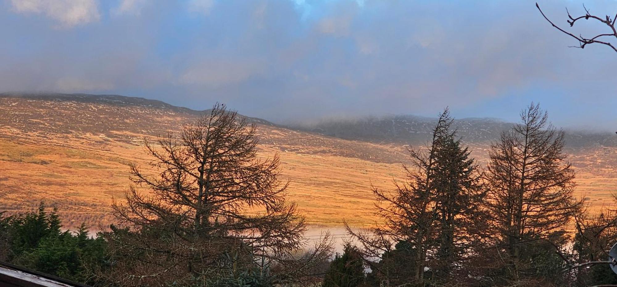 Snowdonia National Park Log Cabin With Garden Trawsfynydd Exterior foto